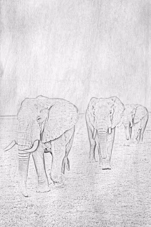 Item #104571871624713793639651805658793486494192065920849225127728493736498022055937 Media