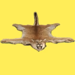 Lion Skin Rug #2