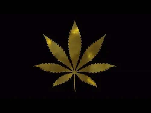 Item #2069498930889069656306054584530658957764801932244471852578113103719452115044 Media