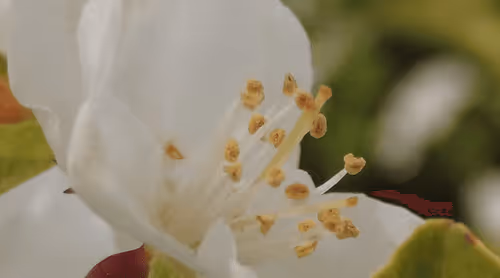 Item #98679578177621649628089872010712381059223698631184272161596299647652156407809 Media