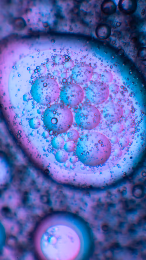 Item #11248459499450087743120670419350516870464666210533379678021336311395891806209 Media