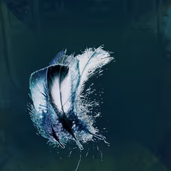 72932321608233697749117711298000337470595698923978217717692158312127152521217