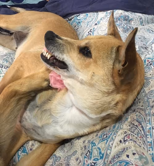 Item #94951261657889433440640425402549201589337916954067992377958453698370589425665 Media