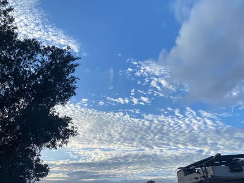 Item #19919995588031661966256808204406643519589095642617423752002715017290830577665 Media