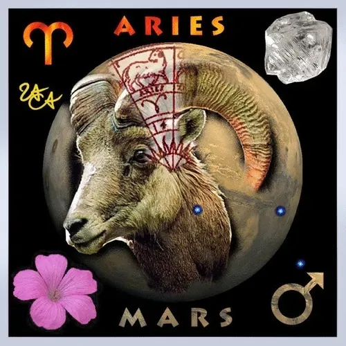 Item #60339983981198208183924633002464387266114266338716940877255950169911400071178 Media