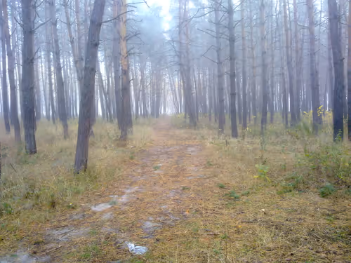 Item #41983459946325006344850038724007157971914249844141491949312562442619603386369 Media