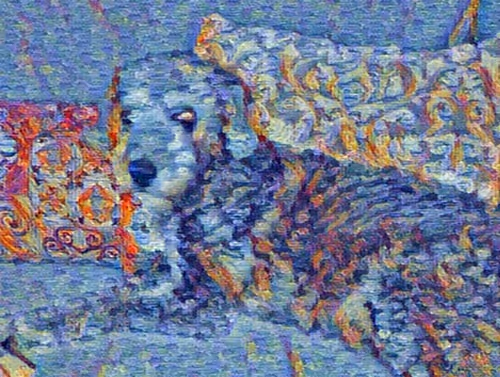 Item #36458393121039199572004429192668983938859385015237629617950190408717056344065 Media