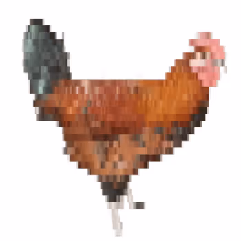 Item #55342592611694533505672501650291308723781319966008028851280433233031185039361 Media