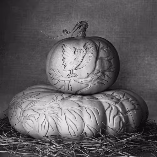 Item #15081463501546268006596121588316872326209313817998412847676536875235363782657 Media