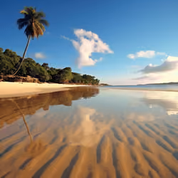 Tropical beaches around the world #9