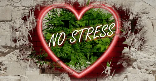 Item #68053287575525751288269231675427811746861684968250582901590729404516648616036 Media