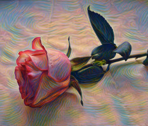 Item #63688406641092808287095697662939930553125729459924580387106277103852140363777 Media