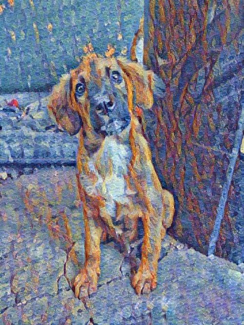 Item #109885862523976899144651734441556854765315219074328426947809034500895976456193 Media