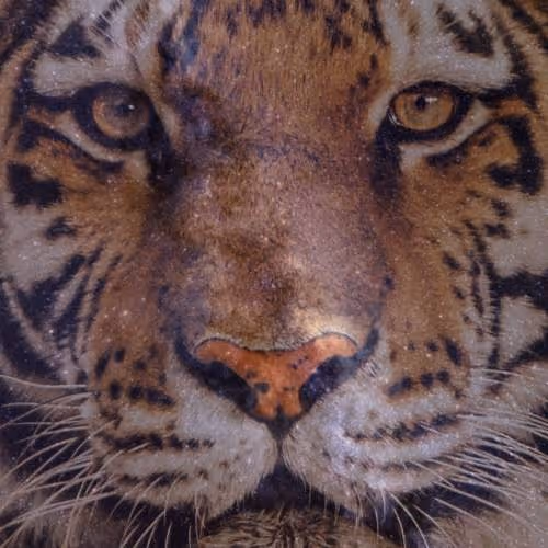 Item #103303064169862110884061021685904109073378734688534247676315579861296459284481 Media