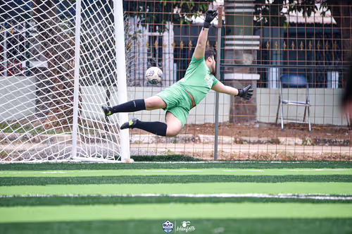 Untitled Collection #239271951