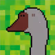 47799744978781689589338832541557895573948024941051642112073993298145867464705