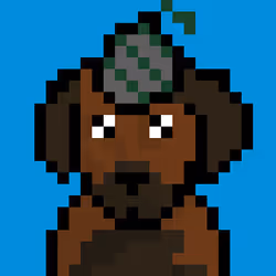 86342293801826414143372861100842254570940757314469337426512614416315821588481