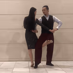 83892141573927582126139065240669887870338527303365433094660709005164709675009