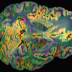 29877578668728852178902598419785793077778618348046200683544678348134897680394