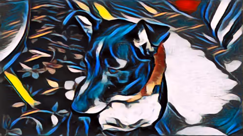 Item #96622254053708768962662743229967844294832954373334833660958647094817318764554 Media