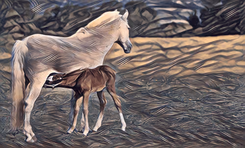 Item #54593652383459731767777383320415424164820202733853921615926635523322312392705 Media