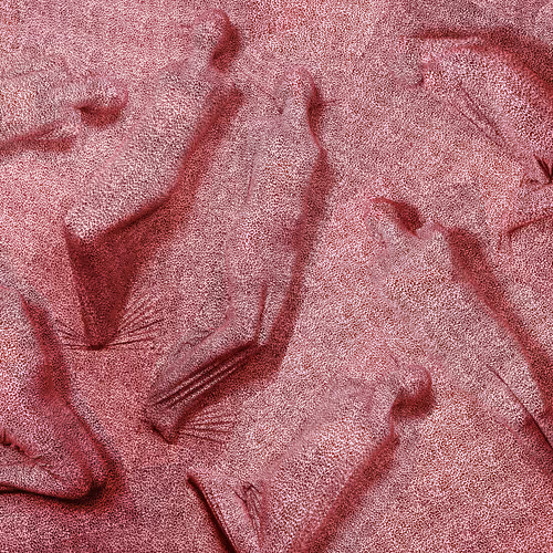 23311926384132945473835872142215006971580573314605382236599850764985088081921