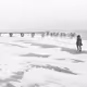 50092332517268633010527439244911527354762520365908832177995182104062571053066
