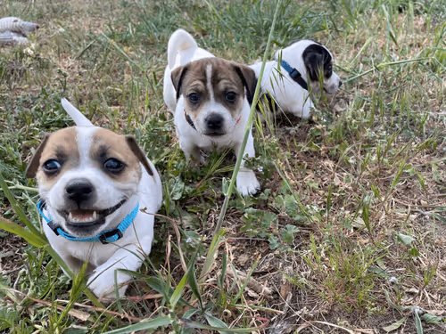 Item #20680248861654225723054443212742784413704102490347492251654820386233118621697 Media