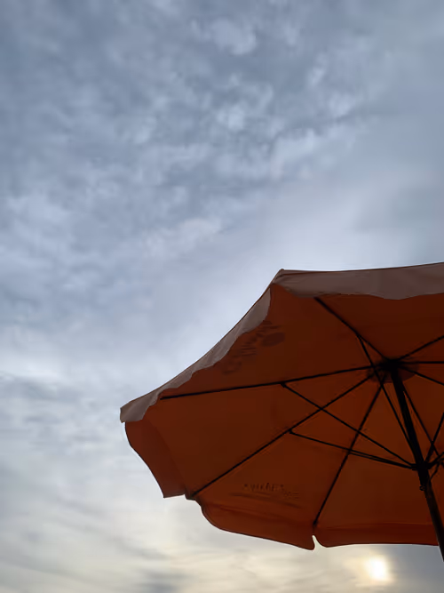 Item #80544021784026682733405216277995046539024496626097833728540683719058785304577 Media