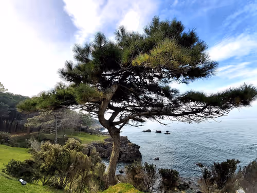 Item #69005224878913651181374632274642987681947640705852691183250276314094363475969 Media