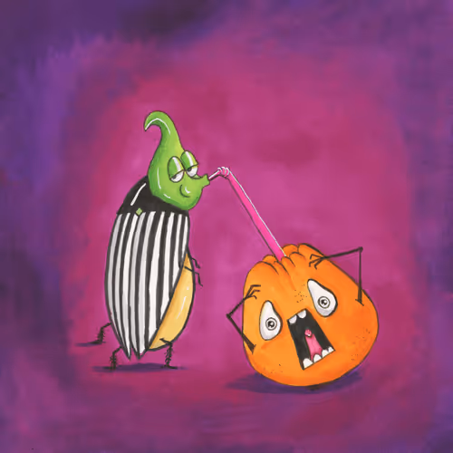 Item #84906781147199151189431749961809287695237056633829018242656721854594061172737 Media