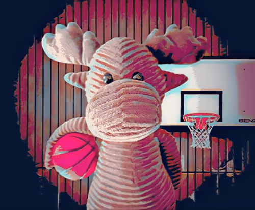 Item #50521642400247584820039019709541665777123567855900865984760149046879829622785 Media