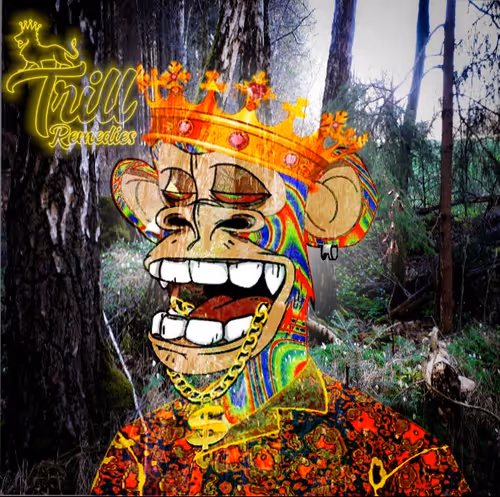 Item #36878996293003159420530988680394500714376917904275382563215545703488003506276 Media