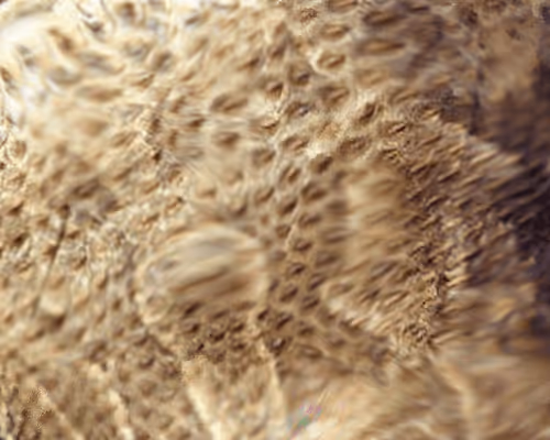 Item #7376968335142423110203002591287652173611771585353958947264139665937786732545 Media