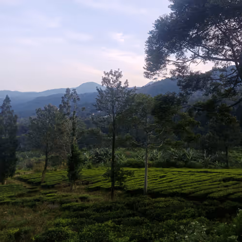 Untitled Collection #30261341