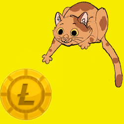 6350837724175369871207491628993880744259048437356542206956245715719018250241