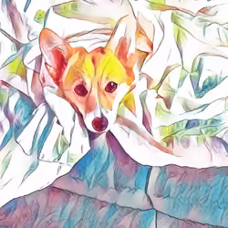 CORGI #17