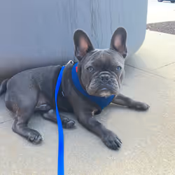 99031261785432219130552668818269695456905868997165113515571762446794580033537