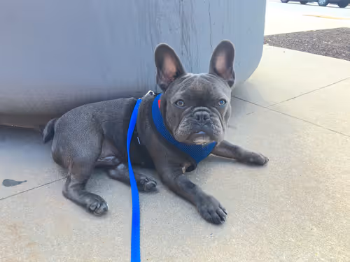 99031261785432219130552668818269695456905868997165113515571762446794580033537