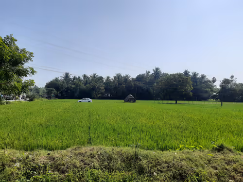 Item #86460548825896395183188707427462696963522650148758793724109723191165107306497 Media