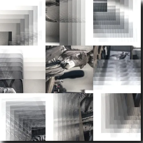 Item #112046021033654007241005822439757220181591102796162182186879994034490443825153 Media