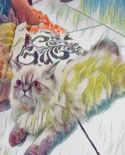 Untitled Collection #92585278