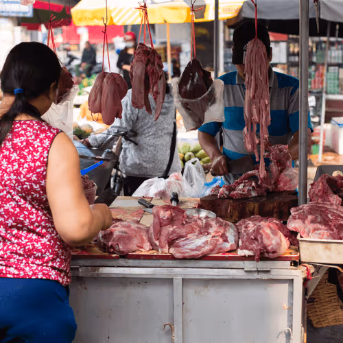 Item #80488266671287018131558448213082272878703229800970441297784273655476256768001 Media