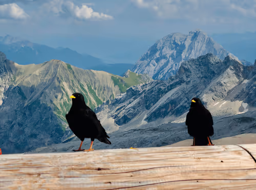 Item #39532885510270378762640029571421453237088313171436943531430307043080788770817 Media