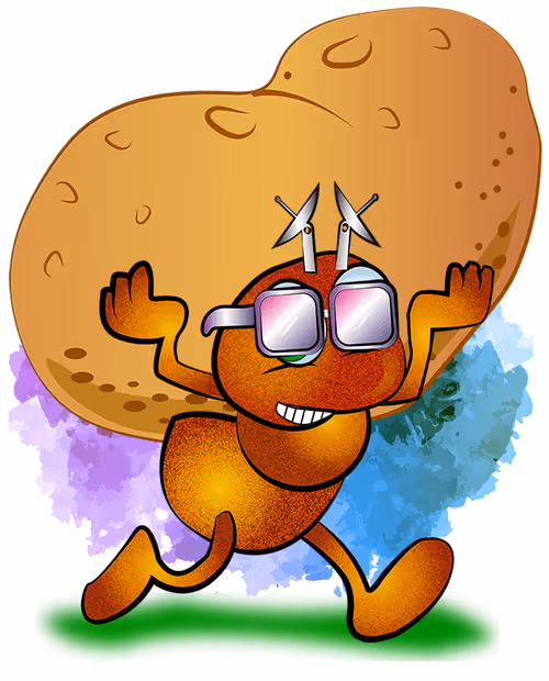 Item #45348753743339507451215022737085169822487941225241617615385428128197314084865 Media