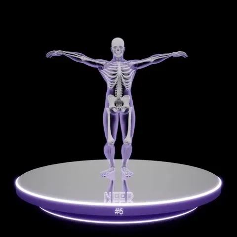 Item #58783896410153536570577946662135448876862726685621327340437200623724474138630 Media