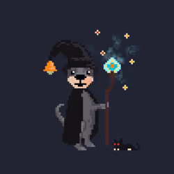 Wizard Dog