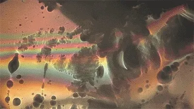 Item #71148294815452105370689080336867009321263834924188665178747291902938982645761 Media