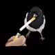 39430991302469215169613456994372989418016289493999755566726696207613048127489