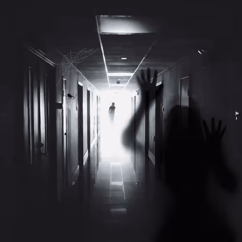 Item #61554044661576626964791874888057467757103310700657119522117822142314692215117 Media